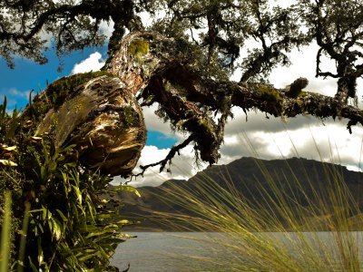 Ecuador Rundreisen