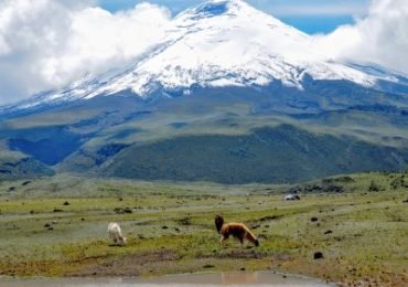Ecuador Individualreisen