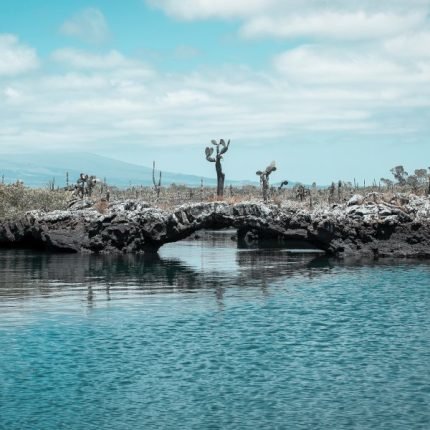 7 Tage Island Hopping (Santa Cruz & Isabela)
