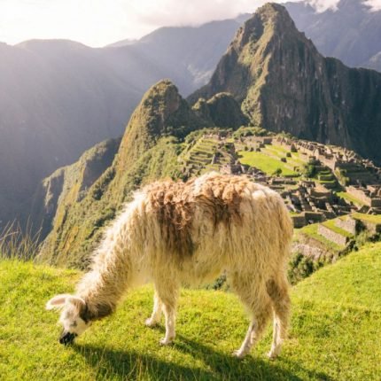2 Wochen Südamerika Rundreise durch Peru und Ecuador