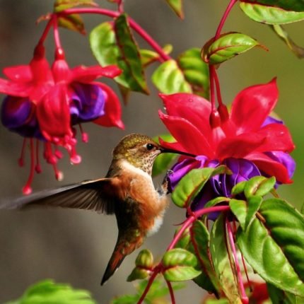 8 Tage Ecuador Mietwagenreise
