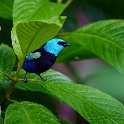 Ecuador Mietwagenreise