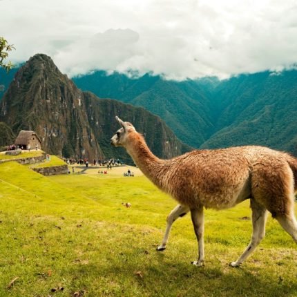 3 Wochen Südamerika Rundreise - Peru & Ecuador