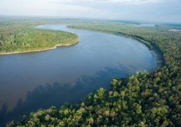 Amazonas